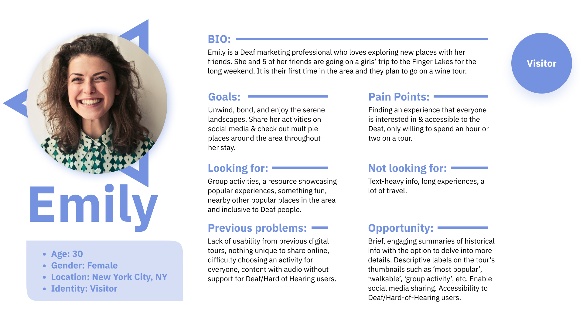 User Persona Visitor